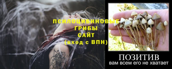 не бодяженный Беломорск