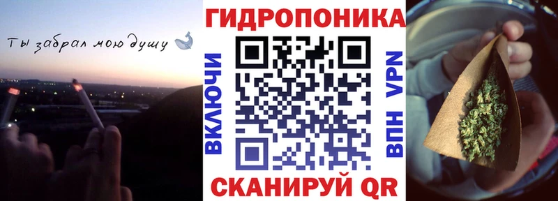 Шишки марихуана семена блэк спрут сайт Облучье